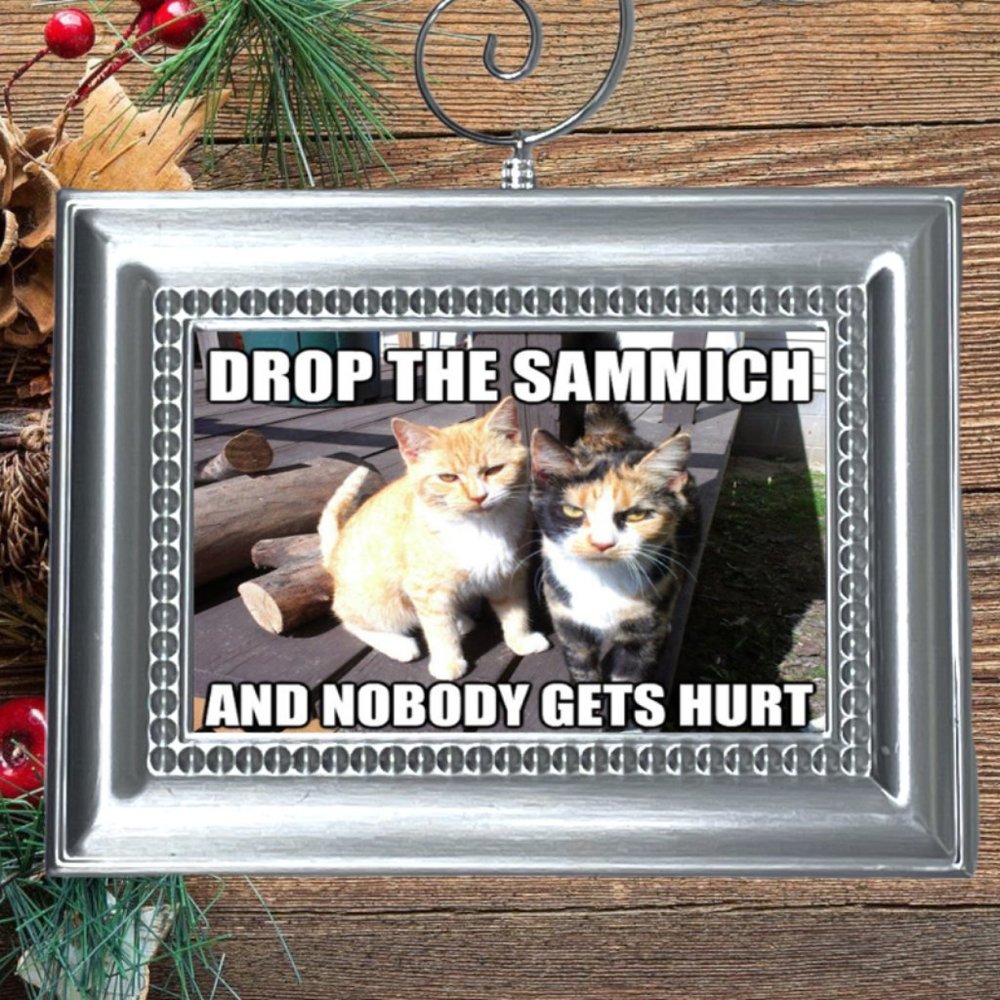 Cat Kitty Kitten Funny Christmas Tree Ornament